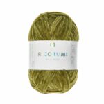 020 Olive