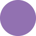 Lavender Purple