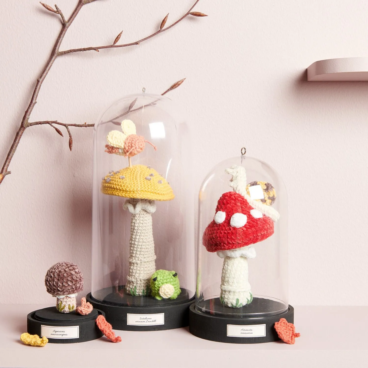 Décoration d'automne : champignons en crochet présentés sous cloches en verre, créés avec le fil 100% coton Ricorumi.