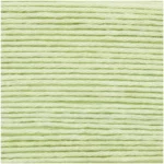 045 Vert pastel