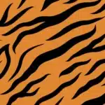 Tigre