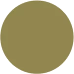 Muted Moss