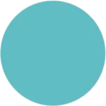 Arctic Teal